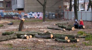 Тотальный спил деревьев в Харькове