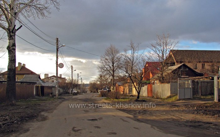 Фото улицы Тевелева, 2014