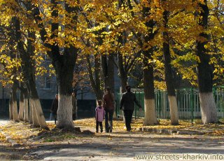 Осень в Харькове на ул. Новопрудной