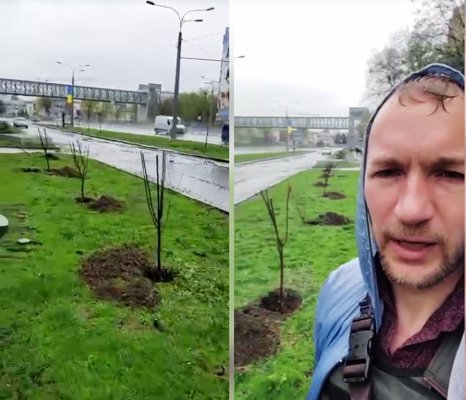Харьковчанин высадил аллею сакур на проспекте в городе