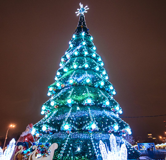 Новогодняя ёлка в Харькове, 2013-2014