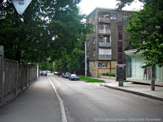 Улица Данилевского, вид с пр. Ленина