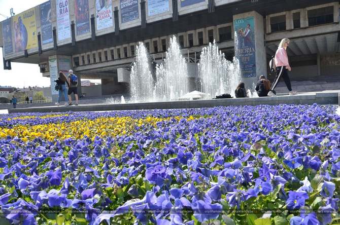 Город Харьков и цветы