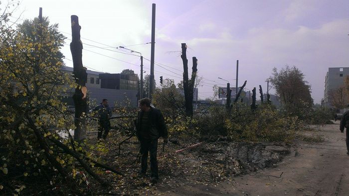В Харькове пилят и пилят деревья
