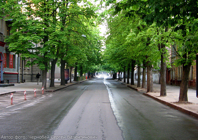 Улица Мироносицкая, зелёный Харьков