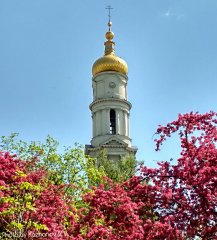 Успенский собор, весенний Харьков