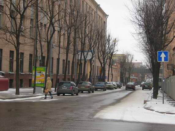 Дмитриевская улица