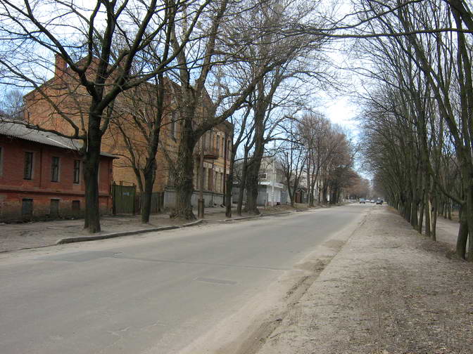 Улица Семинарская (Володарского)