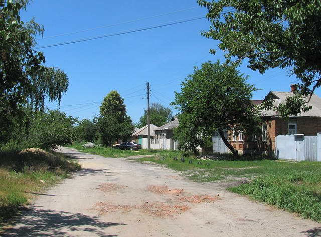 Улица Сосновая