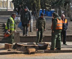 Снос деревьев в Харькове