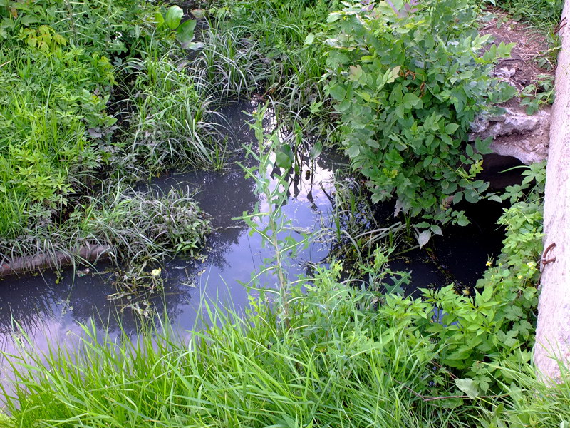 Грязная смрадная вода в канавах, Харьков