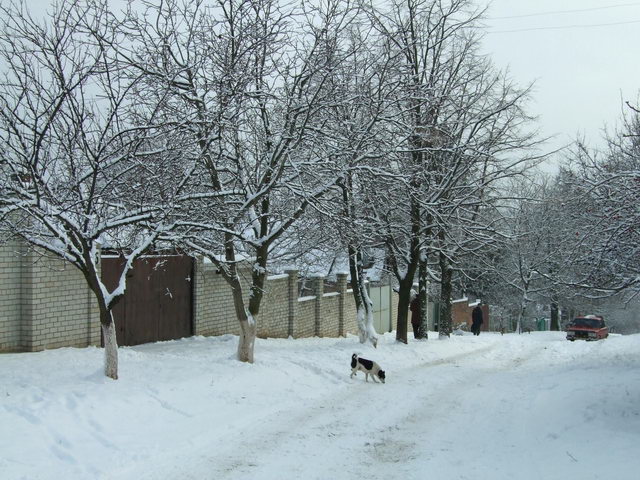 Переулок Бондаренко (Герцена)